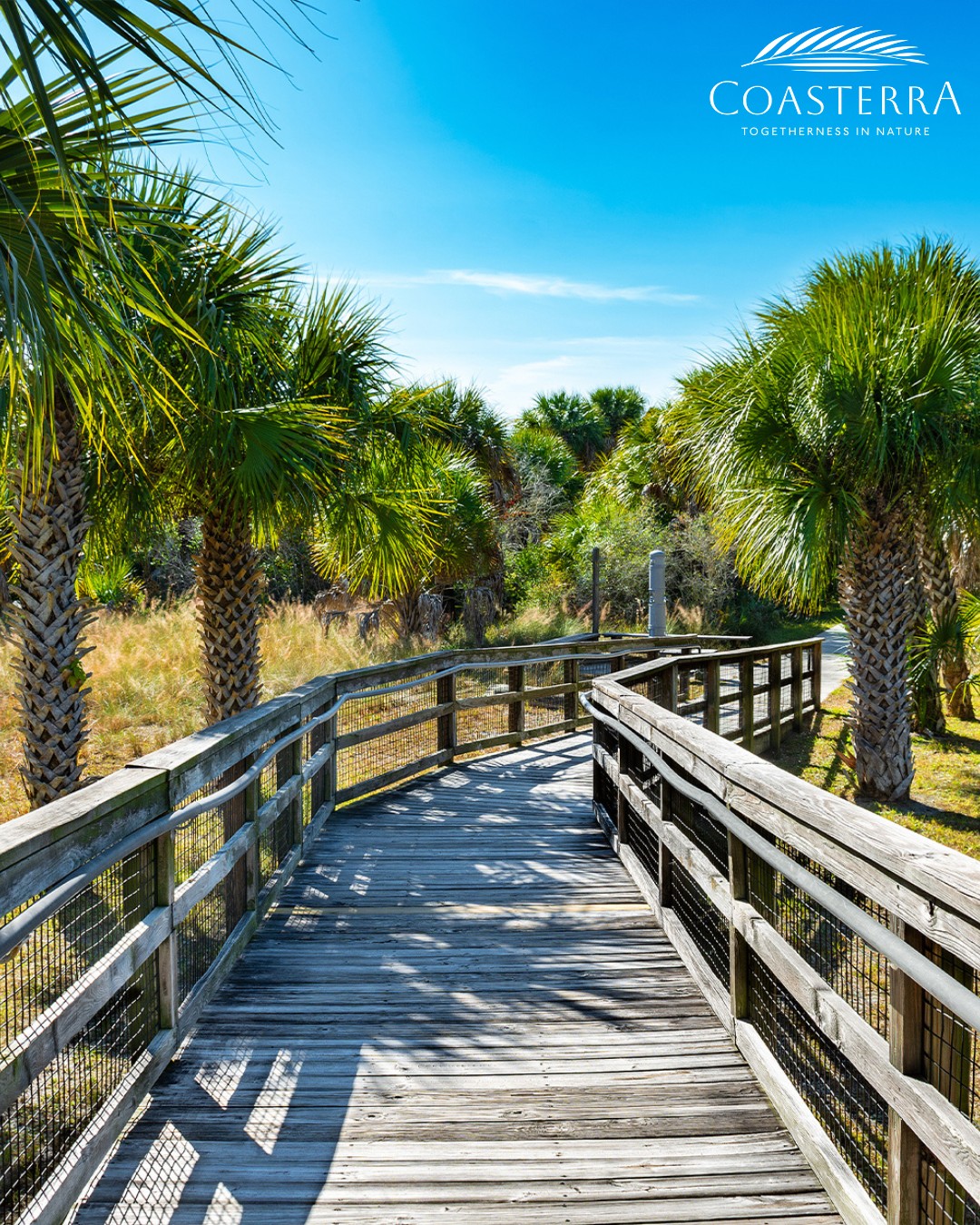 Welcome to Coasterra, where our future residents will enjoy a perfect blend of nature and convenience.  With easy access to city life and the serenity of preserved lands and lakes, life here will be truly special. Take a closer look at Coasterra by clicking the link in our bio! #Coasterra #ManateeCounty #ManateeCountyRealEstate #Florida #PalmettoRealEstate #PalmettoFlorida #PalmettoFloridaRealEstate