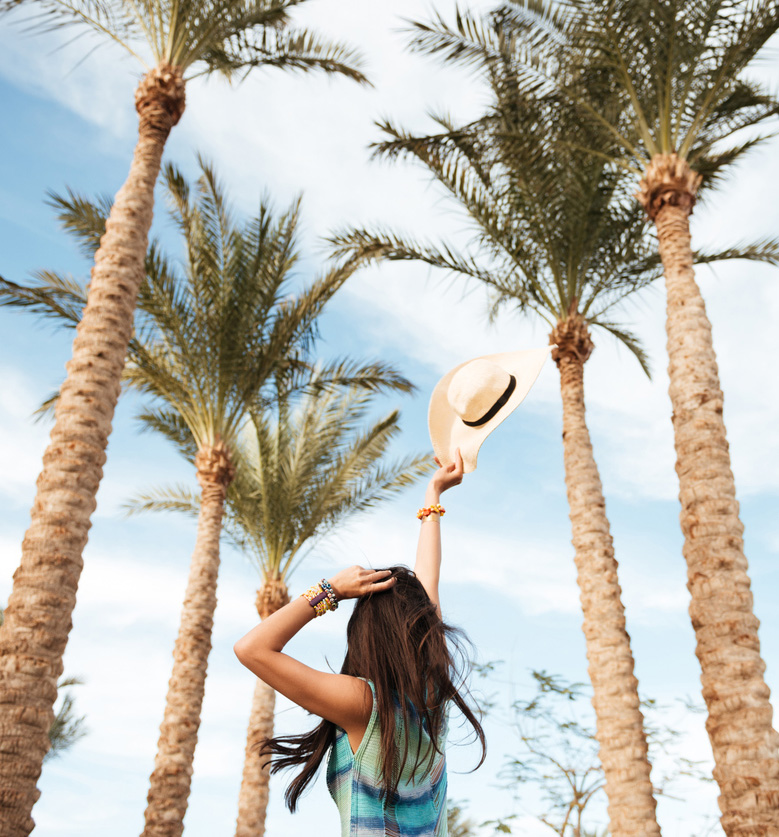 Coasterra_Community_Palm Tree Lady